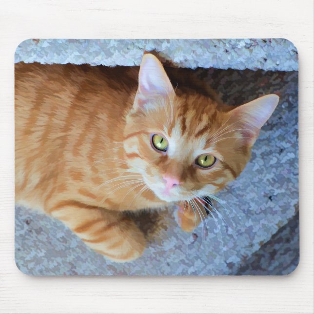 Cute Grönt Ögon Orange Tabby katt Musmatta (Framsidan)