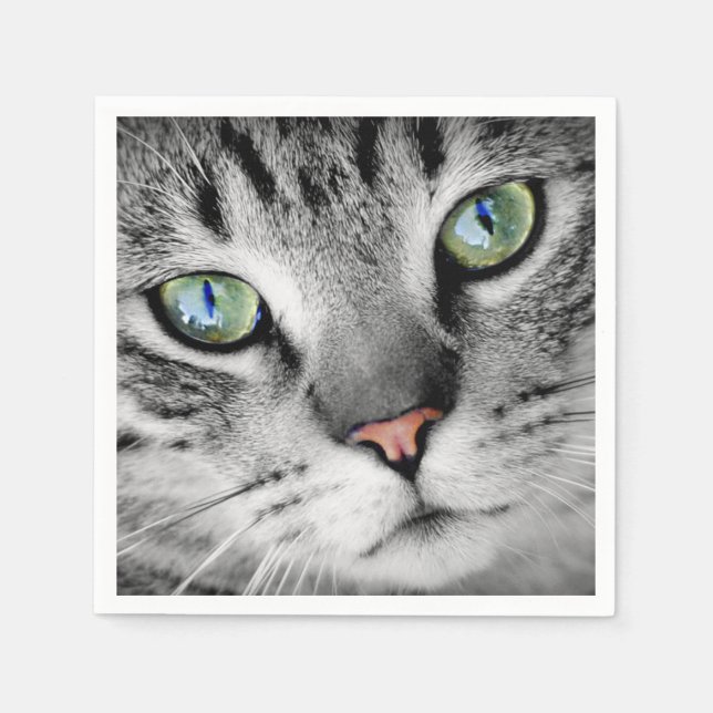 Cute grönt ögonögd katt porträtt pappersservett (Framsidan)