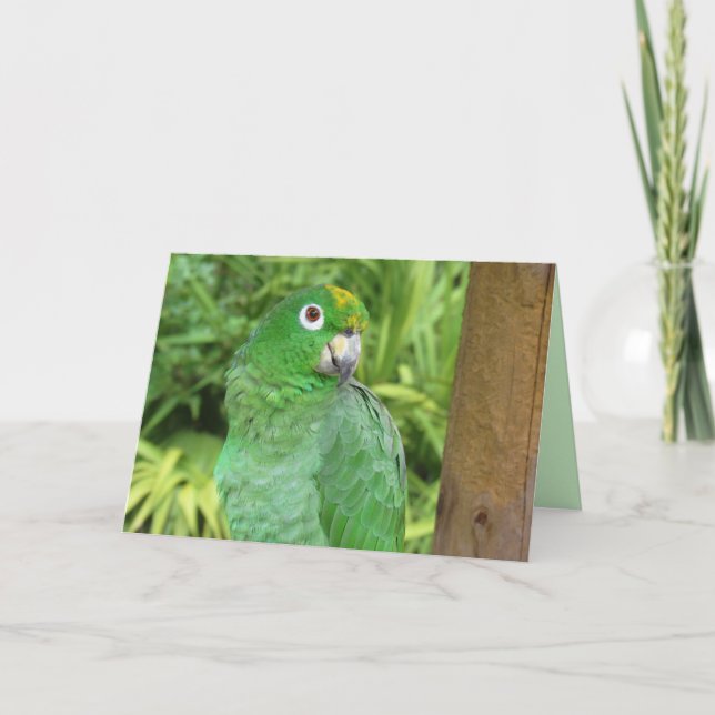 Cute Grönt Parrot-hälsningskort Helgkort (Framsida)