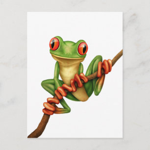 Cute Grönt Träd Frog på Gren om vitt Vykort