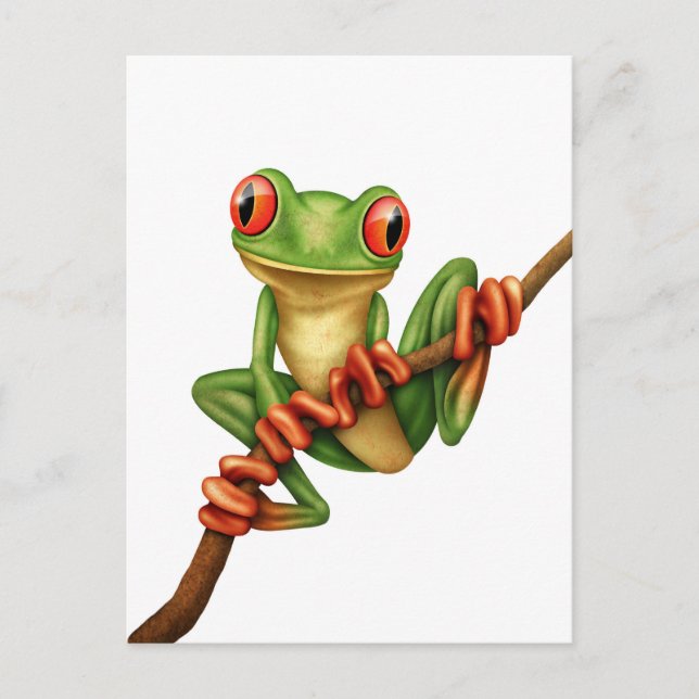 Cute Grönt Träd Frog på Gren om vitt Vykort (Framsida)