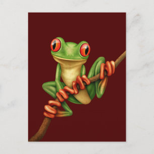 Cute Grönt Träd Frog på Gren på Red Vykort