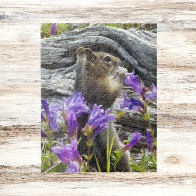 Cute Ground Squirrel och Wildblommor Nature Pussel (In Situ)