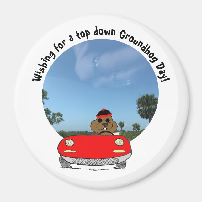 Cute Groundhog in Red Conversible Magnet (Framsidan)