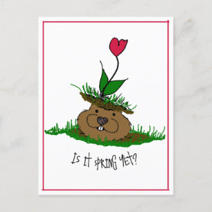 Cute Groundhog Tittar för Vår Helg Vykort