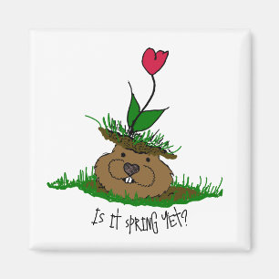 Cute Groundhog Tittar för Vår Magnet