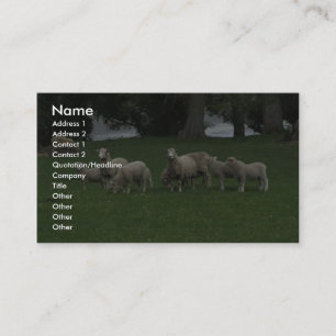 Cute Group of Sheep Eating Grass Visitkort