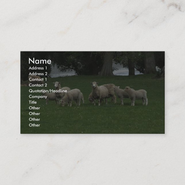 Cute Group of Sheep Eating Grass Visitkort (Framsida)