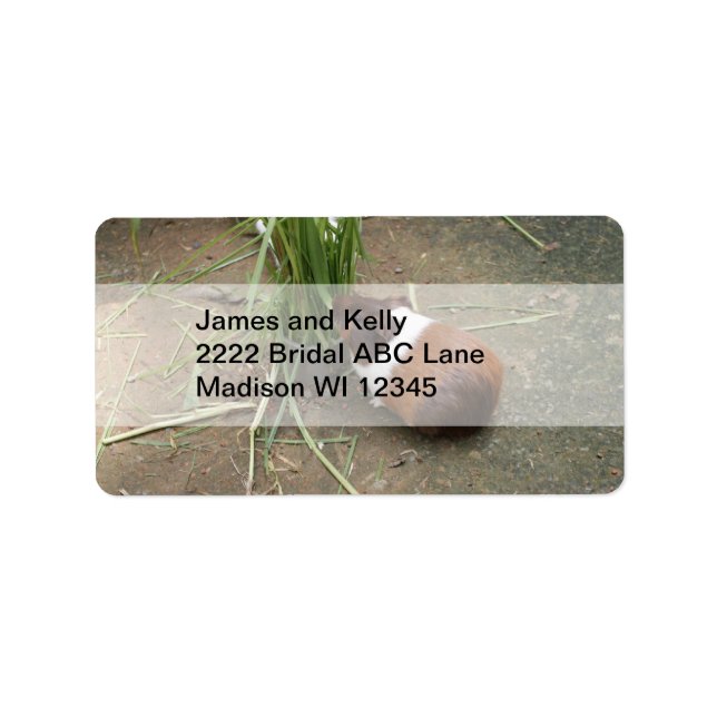 Cute Guinea Gris Adressetikett (Framsidan)