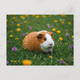 Cute Guinea-Gris, friskt naturgummi, vykort för ka