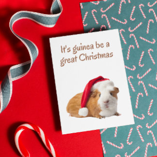 Cute Guinea gris jul Kort