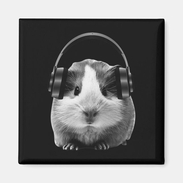Cute Guinea Gris lyssnar på Dubstep Magnet (Framsidan)