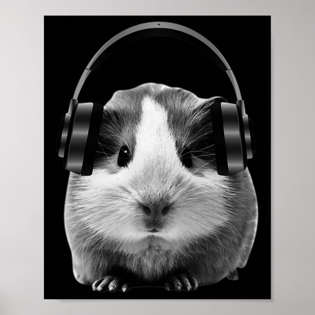 Cute Guinea Gris lyssnar på Dubstep Poster (Framsidan)