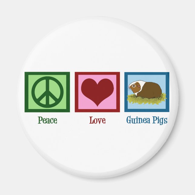 Cute Guinea Gris Magnet (Framsidan)