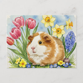 Cute Guinea gris med Vår blommor vykort