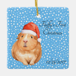 Cute Guinea Gris Pet 1st Helgdag Festive Ornament