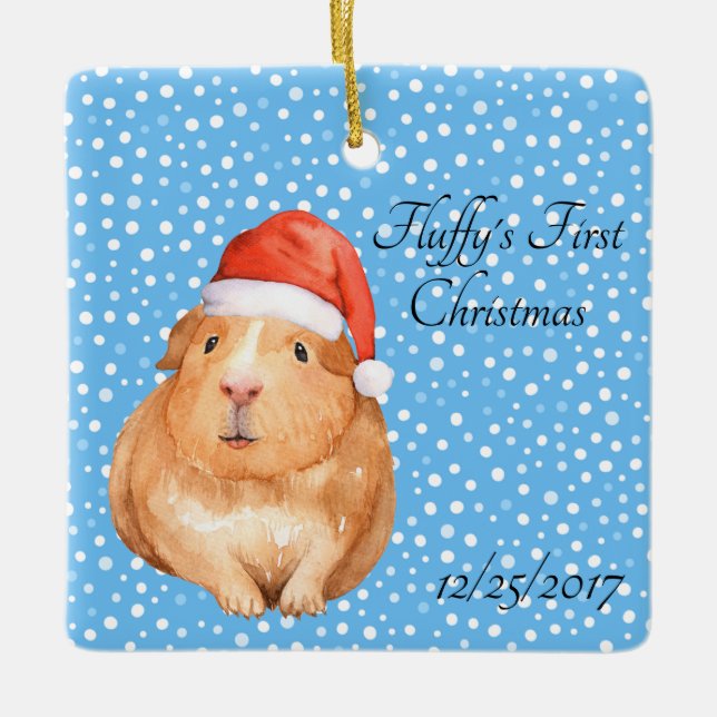 Cute Guinea Gris Pet 1st Helgdag Festive Ornament (Framsida)