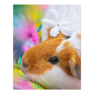 Cute Guinea Gris Pet Fototryck