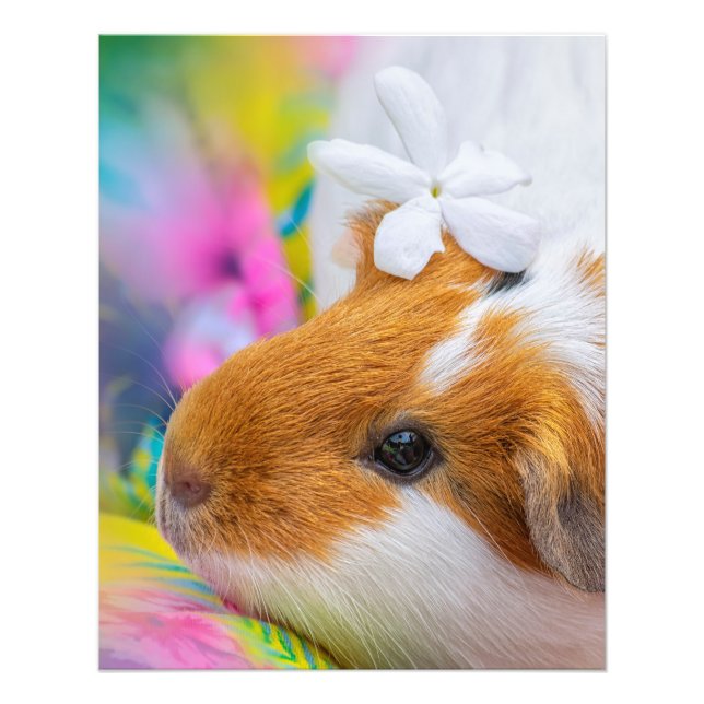 Cute Guinea Gris Pet Fototryck (Framsidan)