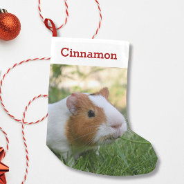 Cute Guinea Gris Pet Photo och Namn Personlig Liten Julstrumpa