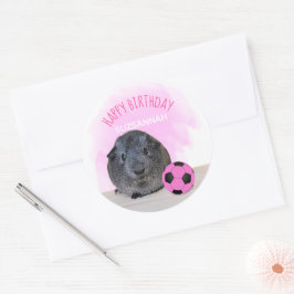 Cute Guinea Gris Rosa Soccer Ball Birthday Anpassn Runt Klistermärke