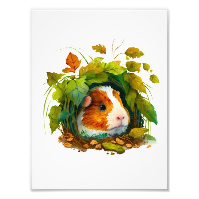 Cute Guinea Gris som Gömmer i buskarna Fototryck (Framsidan)