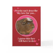 Cute Guinea Gris Valentines day