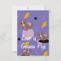 Cute Guinea-Grisar