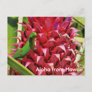 Cute guld stoftdag gecko rosa panapple Hawaii Vykort