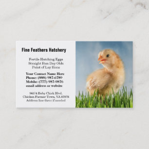 Cute Gult Baby Chick Photo Visitkort