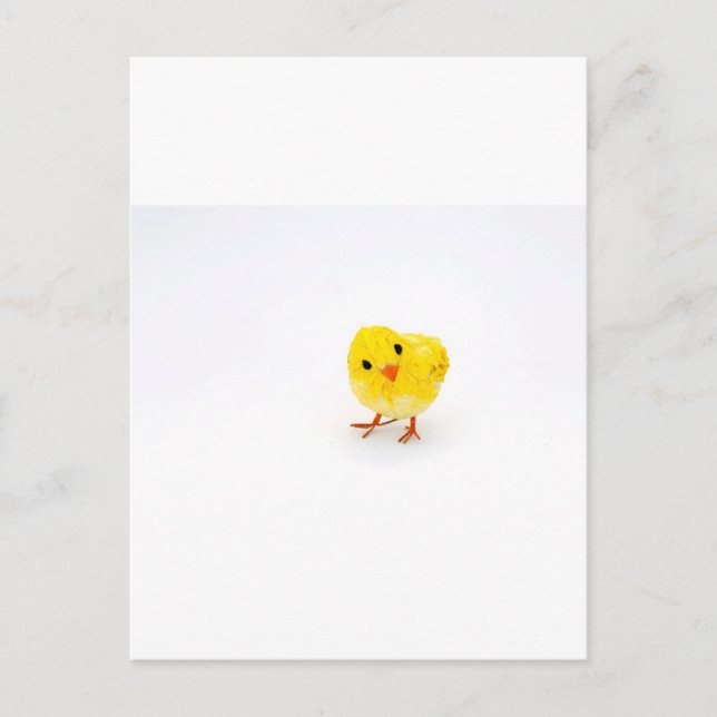 Cute gult baby chick vykort (Framsida)