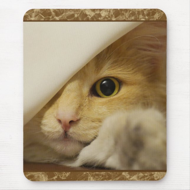 Cute Gult Kitten Mousepad Musmatta (Framsidan)