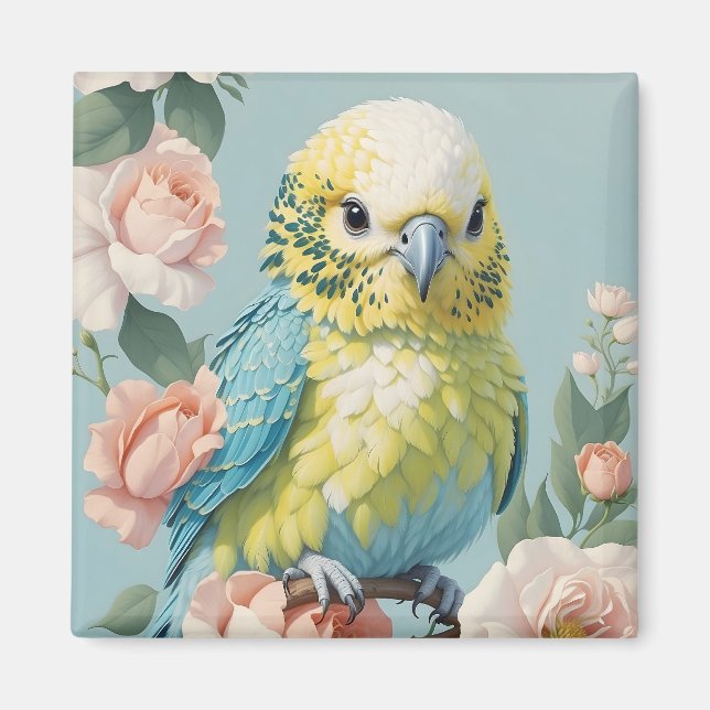 Cute Gult och Blue Baby Budgie Parakeet Bird Magnet (Framsidan)