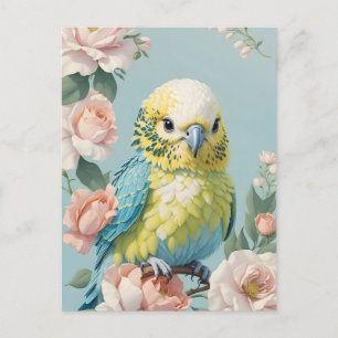 Cute Gult och Blue Baby Budgie Parakeet Bird Vykort