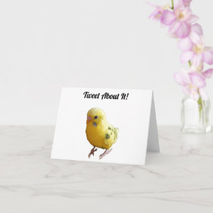Cute Gult Parakeet Friendly Pet Bird Photographic Kort