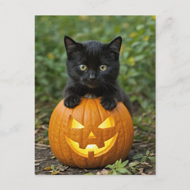 Cute Halloween Back Cat och Jack o lantern Helg Vykort (Framsida)