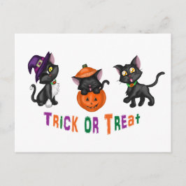 Cute Halloween Cats Vykort