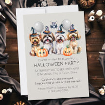 Cute Halloween Costume Party