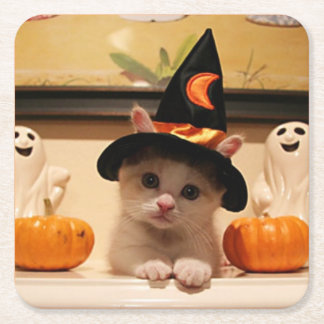 Cute Halloween Kitten Mönster Design Underlägg Papper Kvadrat