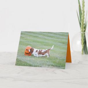 Cute Halloween-kort W/Funny Basset Hound & Pumpkin Kort