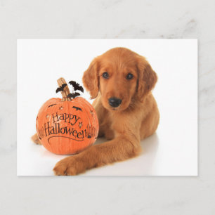 Cute Halloween-valpen med en pipa Vykort