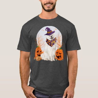 Cute Halloween Witch Corgi Pumpkin Hund älskare Co T Shirt