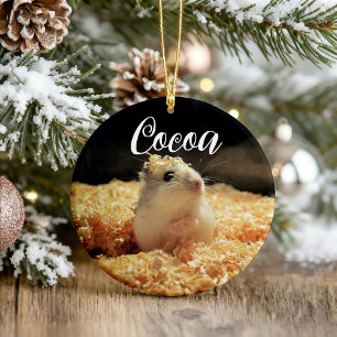 Cute Hamster Gift för Hamster Älskare Julgransprydnad Keramik