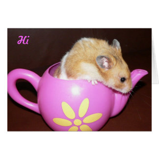 Cute Hamster Hälsningskort