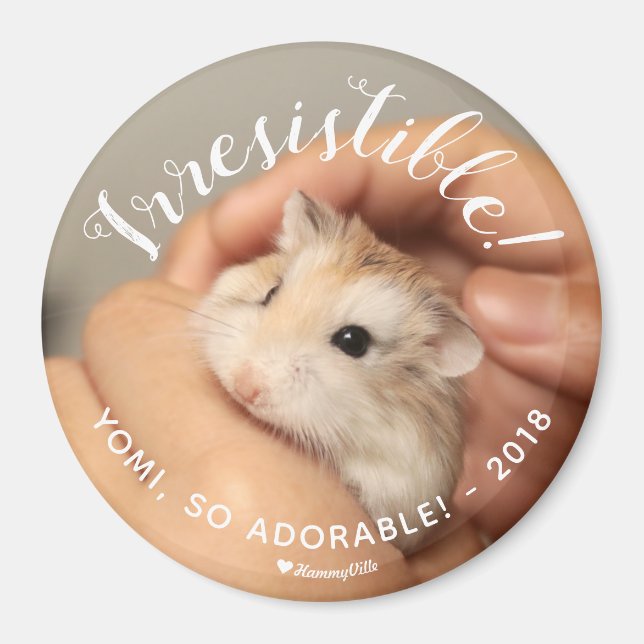 Cute Hamster Irresistible Magnet (Framsidan)
