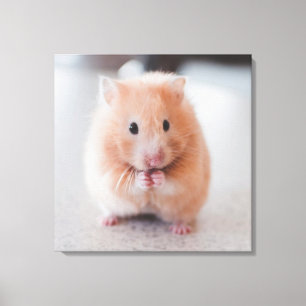 Cute Hamster Kärlek Animals Canvastryck