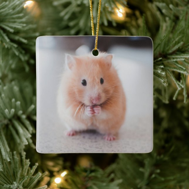 Cute Hamster Kärlek Animals Julgransprydnad Keramik (Träd)