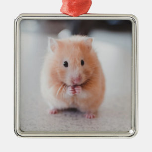 Cute Hamster Kärlek Animals Julgransprydnad Metall