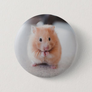 Cute Hamster Kärlek Animals Knapp