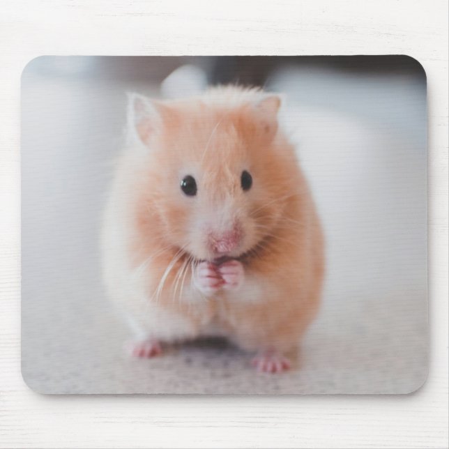 Cute Hamster Kärlek Animals Musmatta (Framsidan)